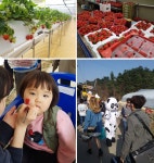 K2Web Wizard - 가톨릭관동대학교