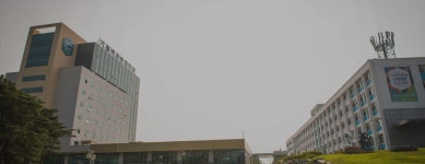 가톨릭관동대학교 의료경영학과