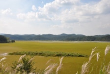 주요관광지 >우포늪 >우포늪 탐방 >지점상세안내 >대대제방 | 창녕여행 대대제방 | 창녕여행 
