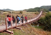 축제행사 >우포늪생명길걷기대회 >축제소개 | 창녕여행 축제소개 | 창녕여행 