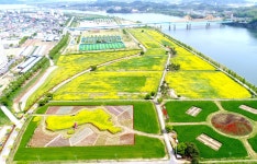 축제행사 >낙동강유채축제 >지난축제보기 | 창녕여행 지난축제보기 | 창녕여행 