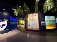 주요관광지 >우포늪체험장 >체험장소개 >전시실소개 >방문객 안내센터 | 창녕여행 방문객 안내센터 | 창녕여행 