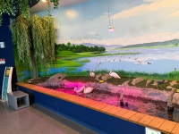 주요관광지 >우포늪체험장 >체험장소개 >전시실소개 >라이브존 | 창녕여행 라이브존 | 창녕여행 