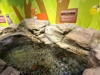 주요관광지 >우포늪체험장 >체험장소개 >전시실소개 >체험존 | 창녕여행 체험존 | 창녕여행 