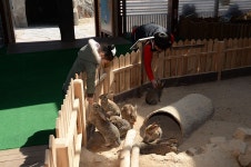 관광명소 >창녕구경(9경) >5경 산토끼노래동산과 창녕우포곤충나라 | 창녕여행 5경 산토끼노래동산과 창녕우포곤충나라 | 창녕여행 