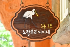 이용안내 >시설안내 >우포 철새촌 >노랑부리저어새 | 우포유스호스텔 노랑부리저어새 | 우포유스호스텔