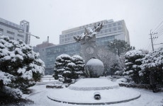 공지/소식 : 전남대학교병원