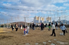 스타필드 수원 옥상, 반려동물 놀이터 개장 [코코타임즈(COCOTimes)] 스타필드 수원 옥상, 반려동물 놀이터 개장