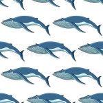 Seamless nautical themed background pattern of blue whales in square format for marine wallpaper and fabric design | Vector... 