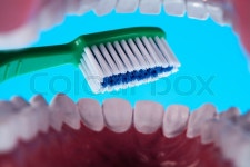 Anatomy of the tooth, bright colorful tone concept | Stock Photo | Colourbox