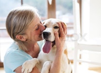 Senior woman with her dog inside of her house. | Stock Photo | Colourbox
