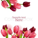 Floral beautiful frame with pink and red tulips | Stock Vector | Colourbox