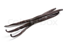 Photo shot of vanilla beans on white background | Stock Photo | Colourbox