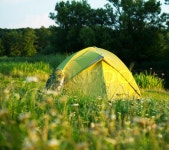 Tent on grassland | Stock Photo | Colourbox