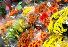 Mix of vivid fresh beautiful flowers selling outside   | Stock Photo | Colourbox