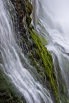 Thunder River Moss | Stock Photo | Colourbox