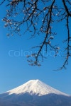 Mt Fuji | Stock Photo | Colourbox