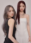 블라인드 | 아모스프로페셔널 기업정보