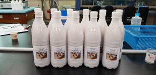 조리제빵과 : 실습사진 상세보기