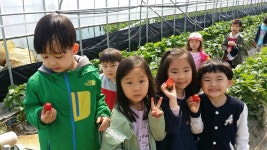 전체 :: 크레존 - 창의인성교육넷