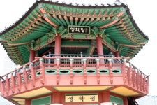 안양천 변 산책과 환경 정화 ** 창의적 체험활동 :: 크레존 창의인성교육넷