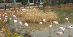 정원 ** 통합검색 :: 크레존 창의인성교육넷