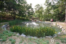 관악산생태공원 ** 통합검색 :: 크레존 창의인성교육넷