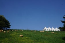 <자연탐방> 칠곡양떼목장 프로그램을 활용한 5C Key-우기 ** 영남권 창의체험 수업모델 :: 크레존 창의인성교육넷  <자연탐방> 칠곡양떼목장... 