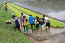 [전남] [우리원농장] 체험 프로그램 ** 창의적 체험활동 :: 크레존 창의인성교육넷