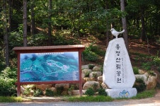 		창의인성교육넷(크레존) - 숲 해설가와 함께하는 용정산림공원: Page 473	 숲 해설가와 함께하는 용정산림공원