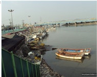 		창의인성교육넷(크레존) - 소래포구 어시장	 소래포구 어시장 