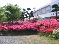 		창의인성교육넷(크레존) - 창의체험자원: Page 2,891	