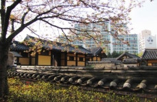 		창의인성교육넷(크레존) - 화도진	 화도진
