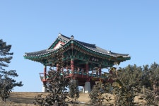 		창의인성교육넷(크레존) - 동백정을 찾아서	 동백정을 찾아서