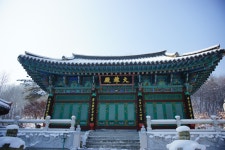 		창의인성교육넷(크레존) - 도담골 호반마을	 도담골 호반마을