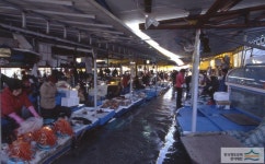 		창의인성교육넷(크레존) - 슬도	 슬도