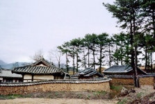 		창의인성교육넷(크레존) - 충령사	 충령사