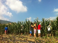 		창의인성교육넷(크레존) - 광천마을	 광천마을