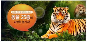 		창의인성교육넷(크레존) - 네버랜드 테마빌딩	 네버랜드 테마빌딩