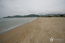 		창의인성교육넷(크레존) - 흥환간이해수욕장	 흥환간이해수욕장