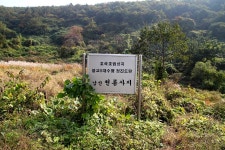 		창의인성교육넷(크레존) - 경주 안심리 암각화	 경주 안심리 암각화