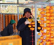 		창의인성교육넷(크레존) - 상주 구마이곶감마을: Page 60	 상주 구마이곶감마을