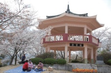 		창의인성교육넷(크레존) - 장흥 구룡리 마애여래좌상(구룡리마애여래좌상)	 장흥 구룡리 마애여래좌상(구룡리마애여래좌상)