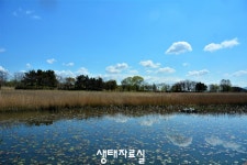 		창의인성교육넷(크레존) - 장곡마을학교	 장곡마을학교
