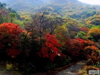 		창의인성교육넷(크레존) - 국립장성숲체원	 국립장성숲체원