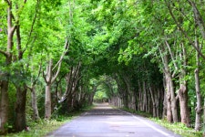 		창의인성교육넷(크레존) - 옥진각: Page 3	 옥진각