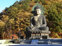 		창의인성교육넷(크레존) - 신흥사(설악산)	 신흥사(설악산)