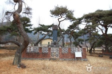 		창의인성교육넷(크레존) - 대율리 송림	 대율리 송림