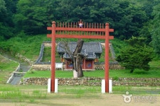 		창의인성교육넷(크레존) - 봉평 메밀막국수 거리	 봉평 메밀막국수 거리