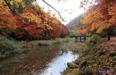 		창의인성교육넷(크레존) - 강천산	 강천산